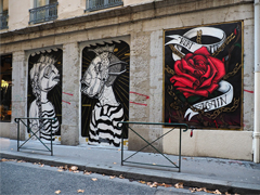 Cliquez sur la vignette pour l'agrandir